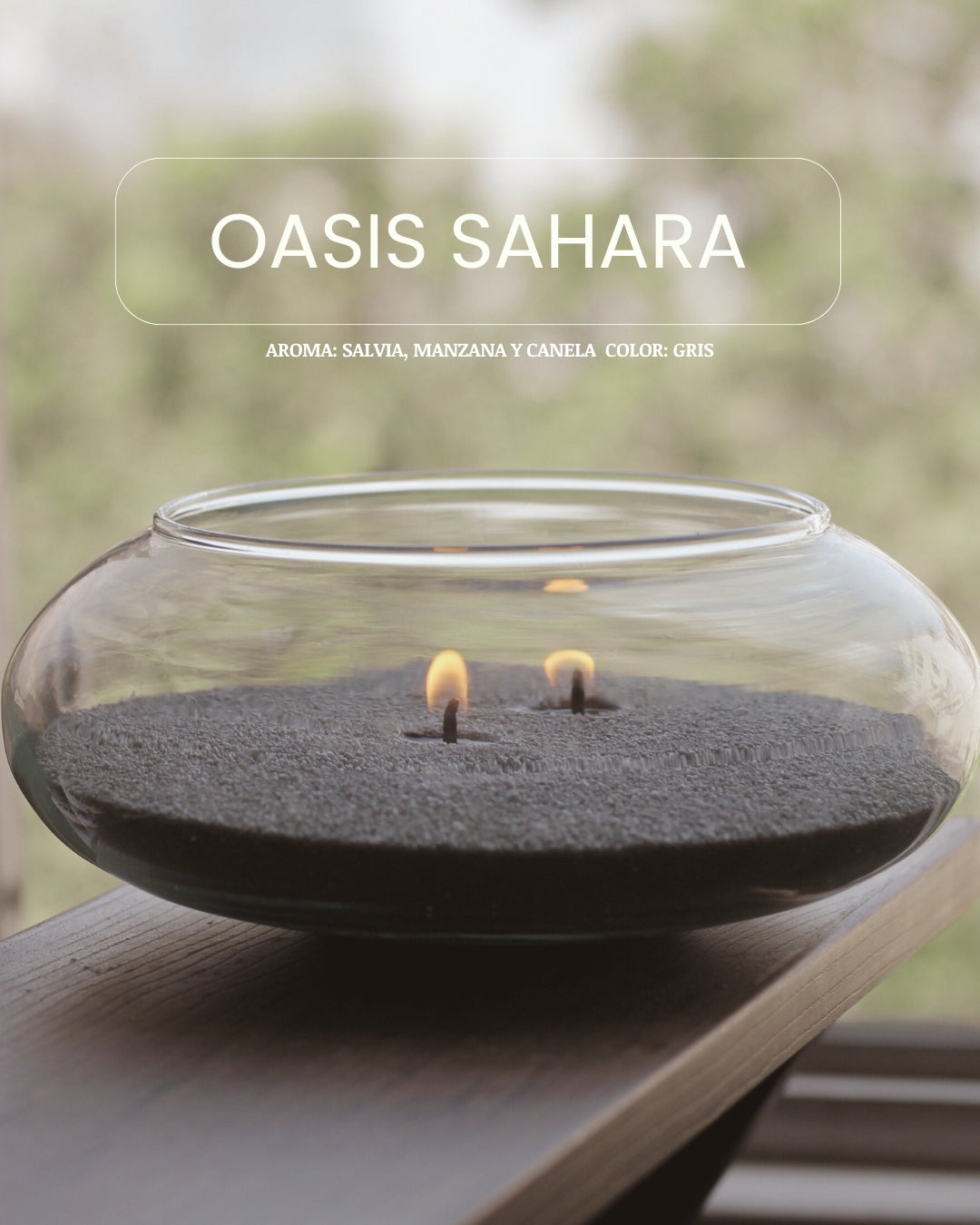 Oasis Sahara